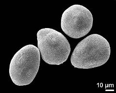 hydrated tetrads