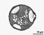 pollen grain in cross section