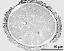 pollen grain in cross section