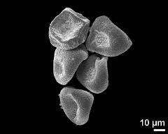 dry tetrads