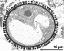 cross section of pollen grain (young microspore)