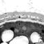 interapertural area of pollen wall