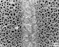 detail of aperture