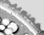 interapertural area of pollen wall, intine (I), endexine (E)